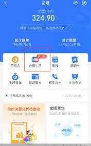 得物分期购怎么套出来，分享5必看（得物分期购如何套出利益？——五个必看要点分析）